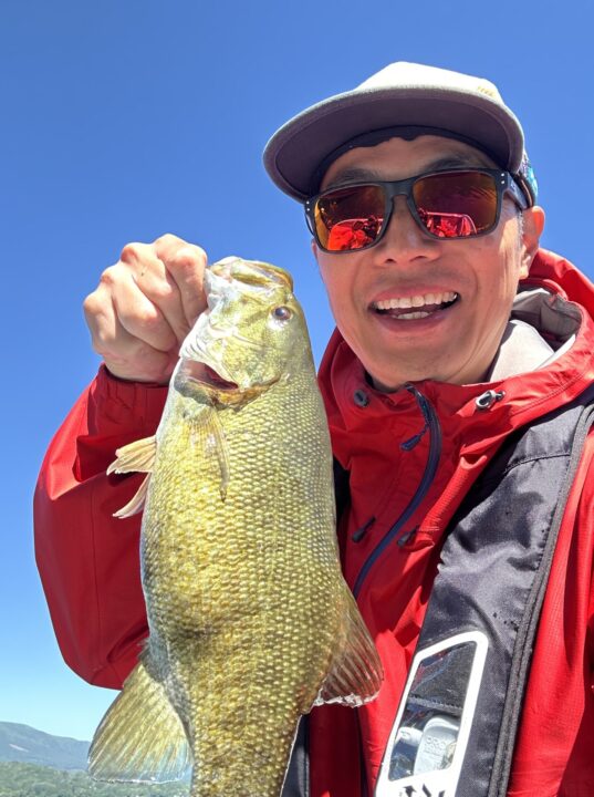 ライトキャロで釣れた腹パンのスモールマウスバス