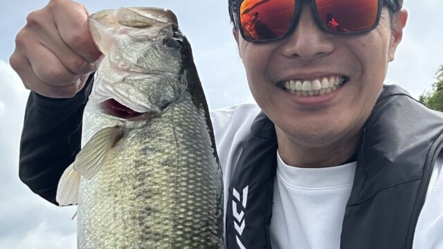 高滝湖で釣れたブラックバス